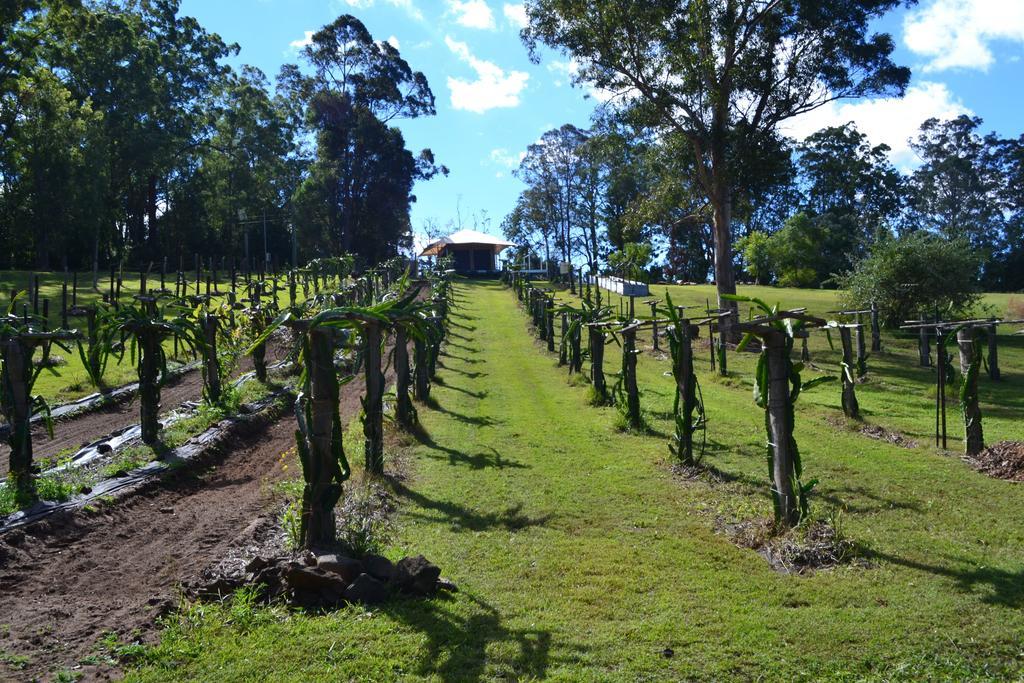 Hotel Tuckers Retreat Canungra Exterior foto