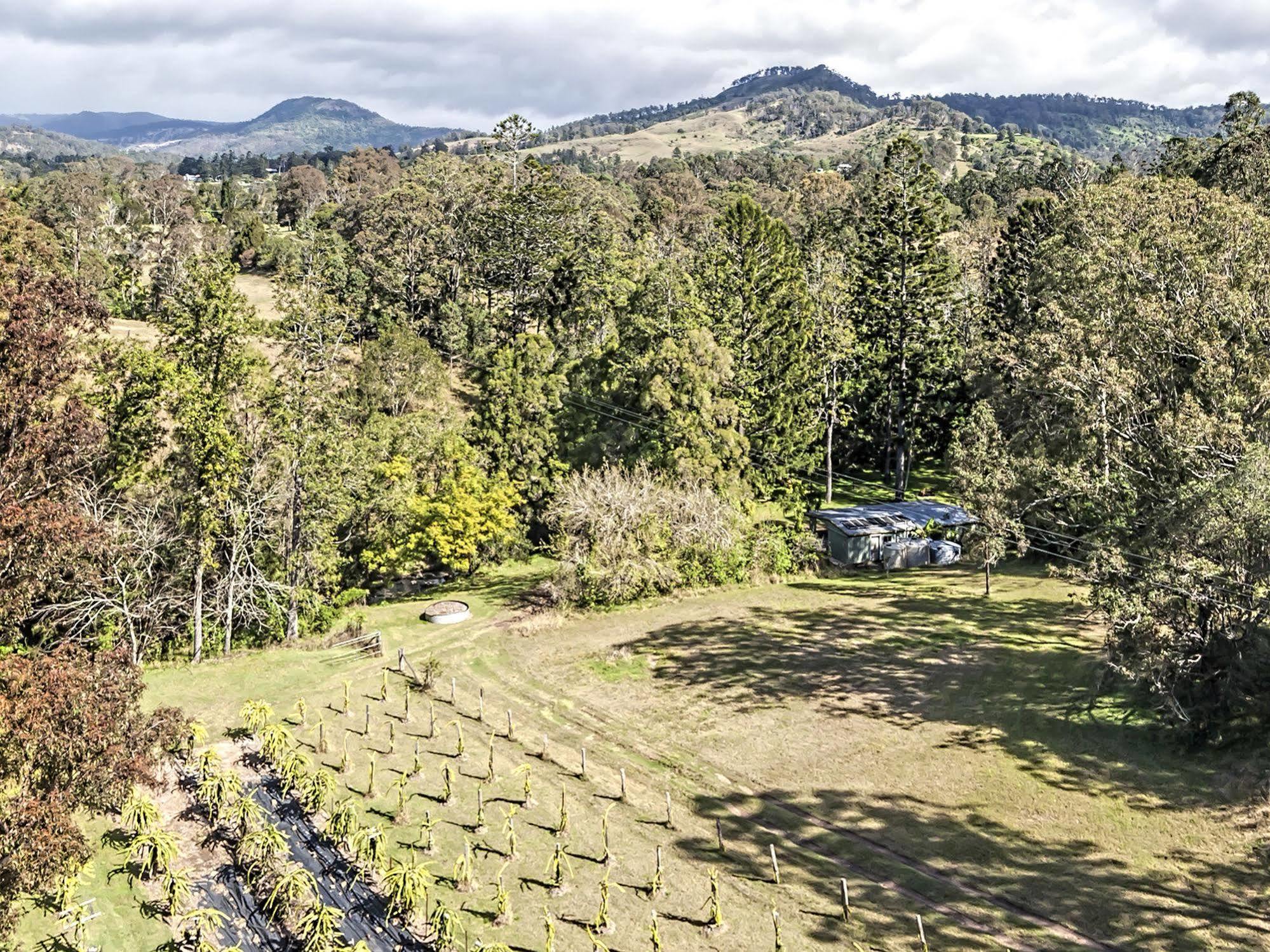 Hotel Tuckers Retreat Canungra Exterior foto