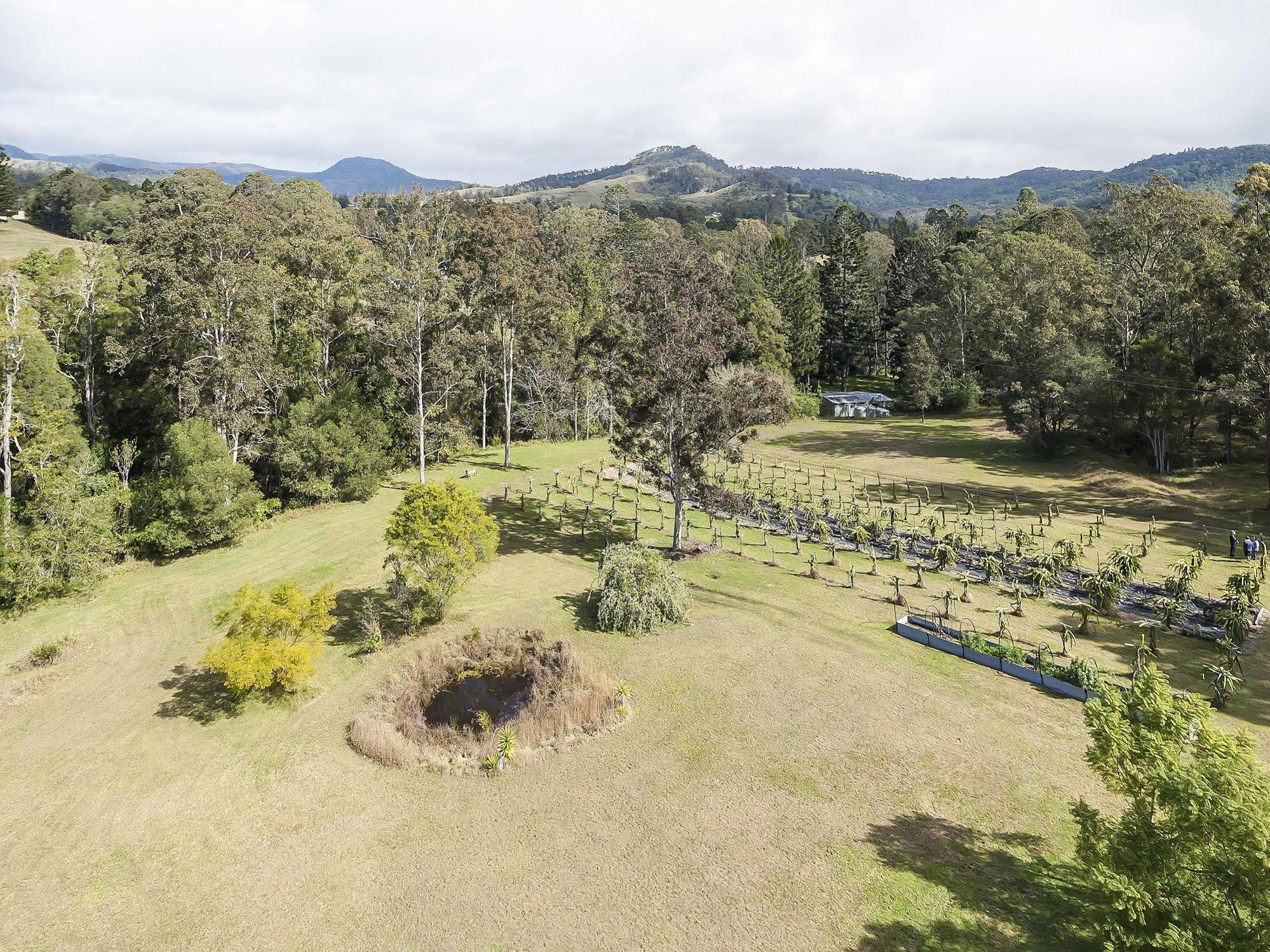 Hotel Tuckers Retreat Canungra Exterior foto